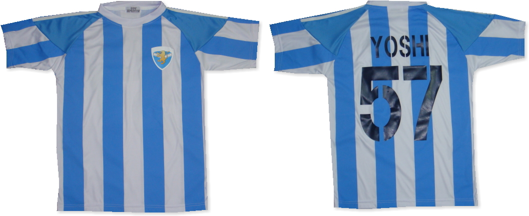 アルゼンチン代表モデルサッカーユニフォーム